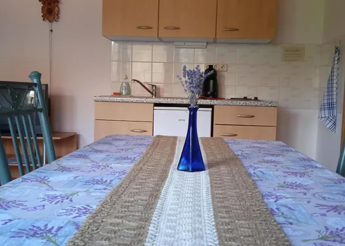 招待所 Balaton White House