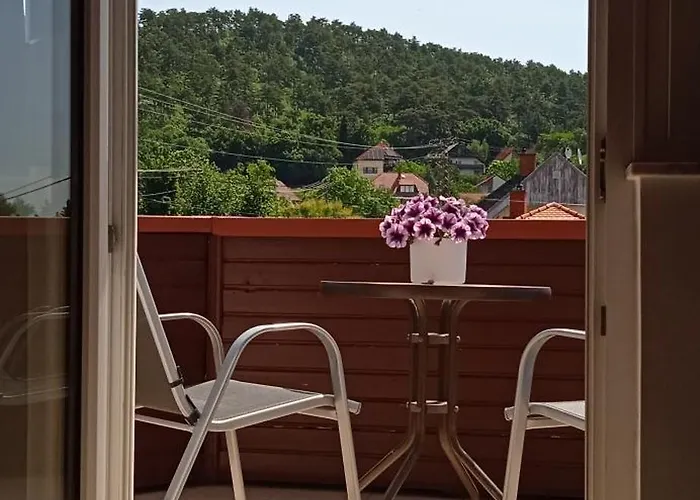 招待所 Balaton White House 沃尼奥尔茨沃什海吉