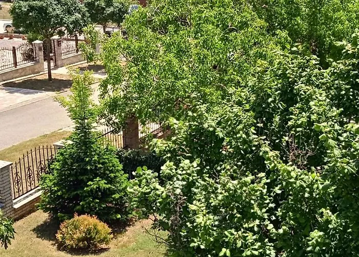 Balaton White House 沃尼奥尔茨沃什海吉